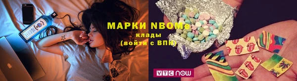 молекула духа Арсеньев