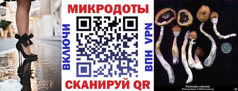 Галлюциногенные грибы MAGIC MUSHROOMS  Баксан 